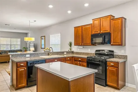 8717 Forget Me Not Court Land O Lakes FL 34637