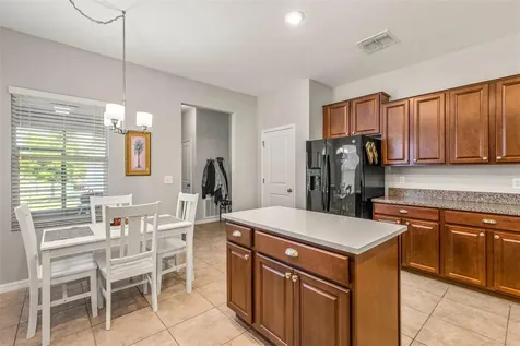 8717 Forget Me Not Court Land O Lakes FL 34637