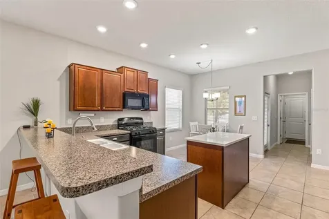 8717 Forget Me Not Court Land O Lakes FL 34637