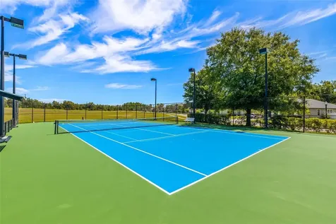 8717 Forget Me Not Court Land O Lakes FL 34637