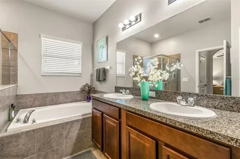 8717 Forget Me Not Court Land O Lakes FL 34637
