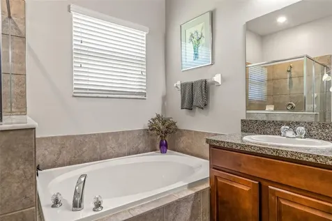 8717 Forget Me Not Court Land O Lakes FL 34637
