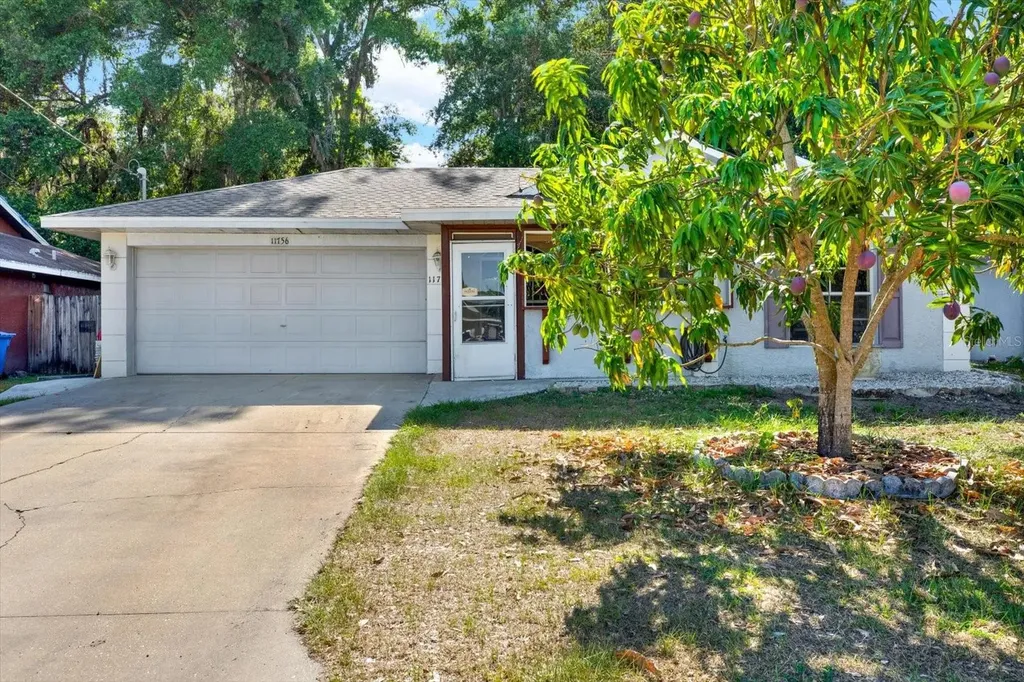11756 Lynn Brook Circle Seffner FL 33584