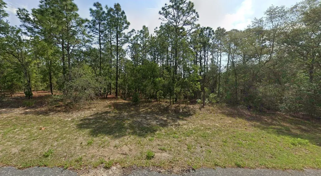 8059 N Creek Way Citrus Springs FL 34434