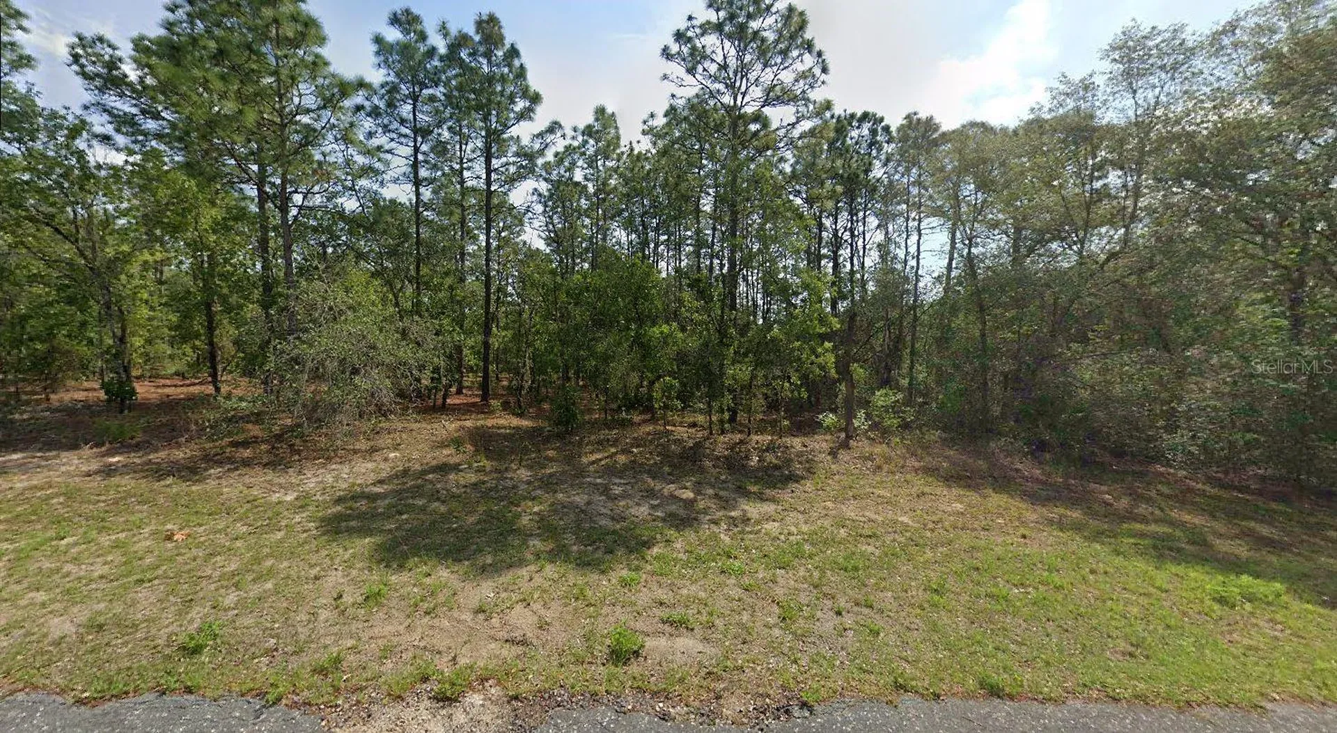 8059 N Creek Way Citrus Springs FL 34434