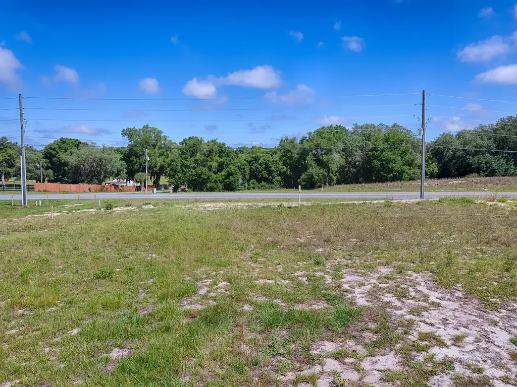 1891 S Us 301 Sumterville FL 33585