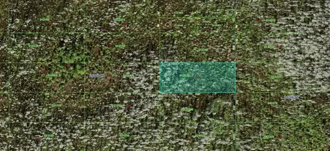 0 Old Grade Road Polk City FL 33868