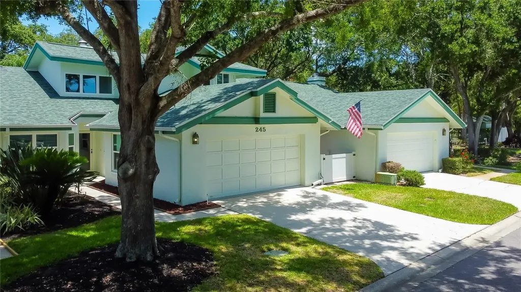 245 Woodridge Circle Oldsmar FL 34677