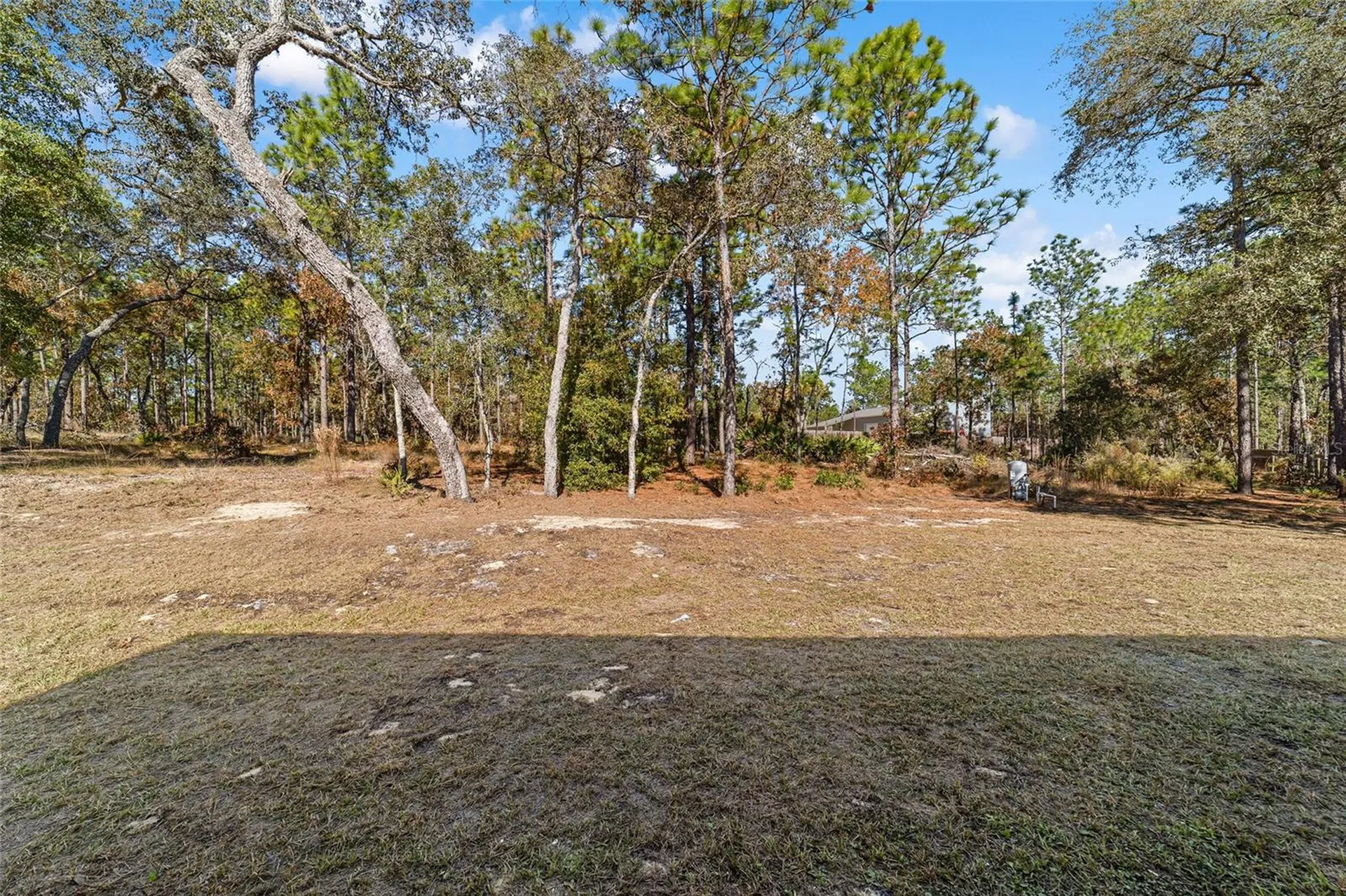 13359 SW 80th Street Dunnellon FL 34432