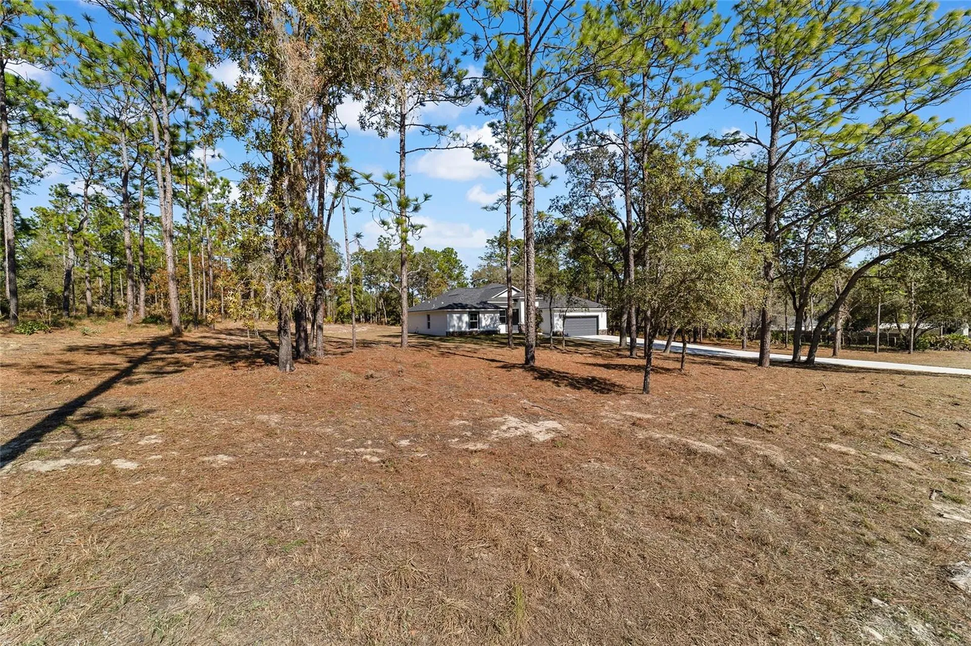 13359 SW 80th Street Dunnellon FL 34432