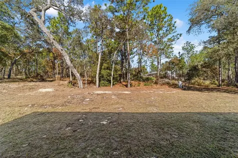 13359 SW 80th Street Dunnellon FL 34432