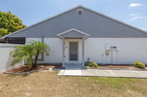 7711 Citrus Field Court Tampa FL 33625