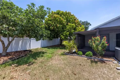 7711 Citrus Field Court Tampa FL 33625