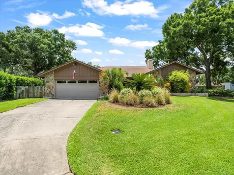 13903 Lake Bluff Court Tampa FL 33624