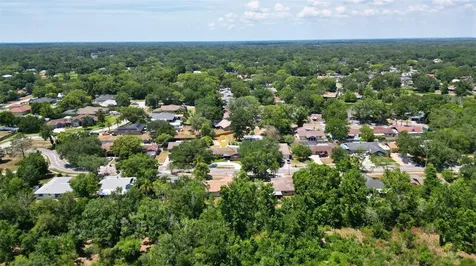 1702 Blind Pond Avenue Lutz FL 33549