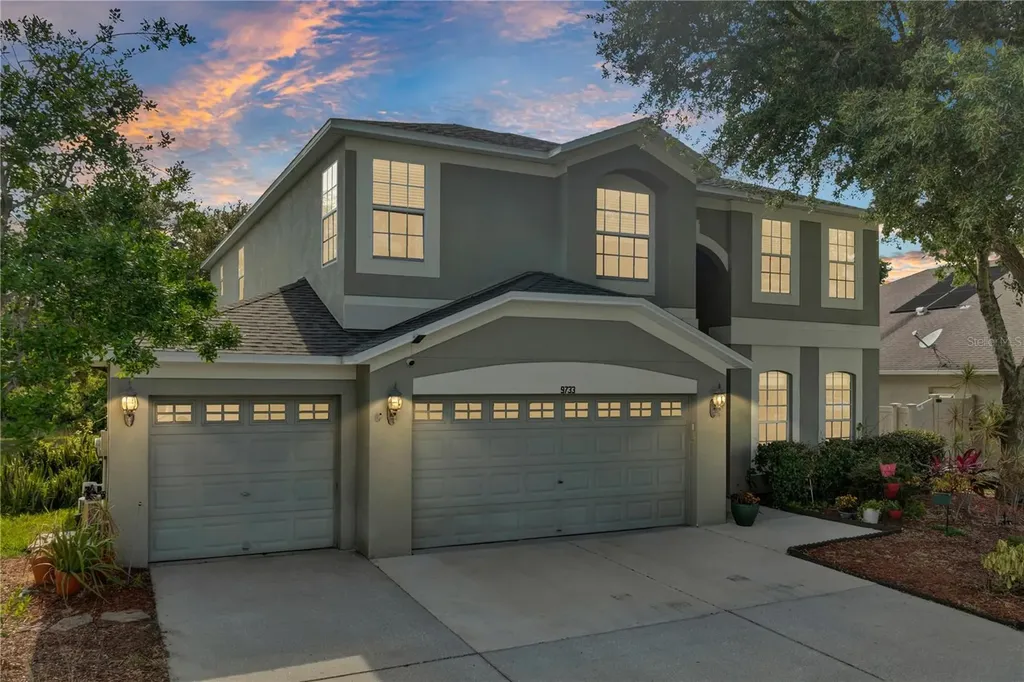 9733 Asbel Estates Street Land O Lakes FL 34638