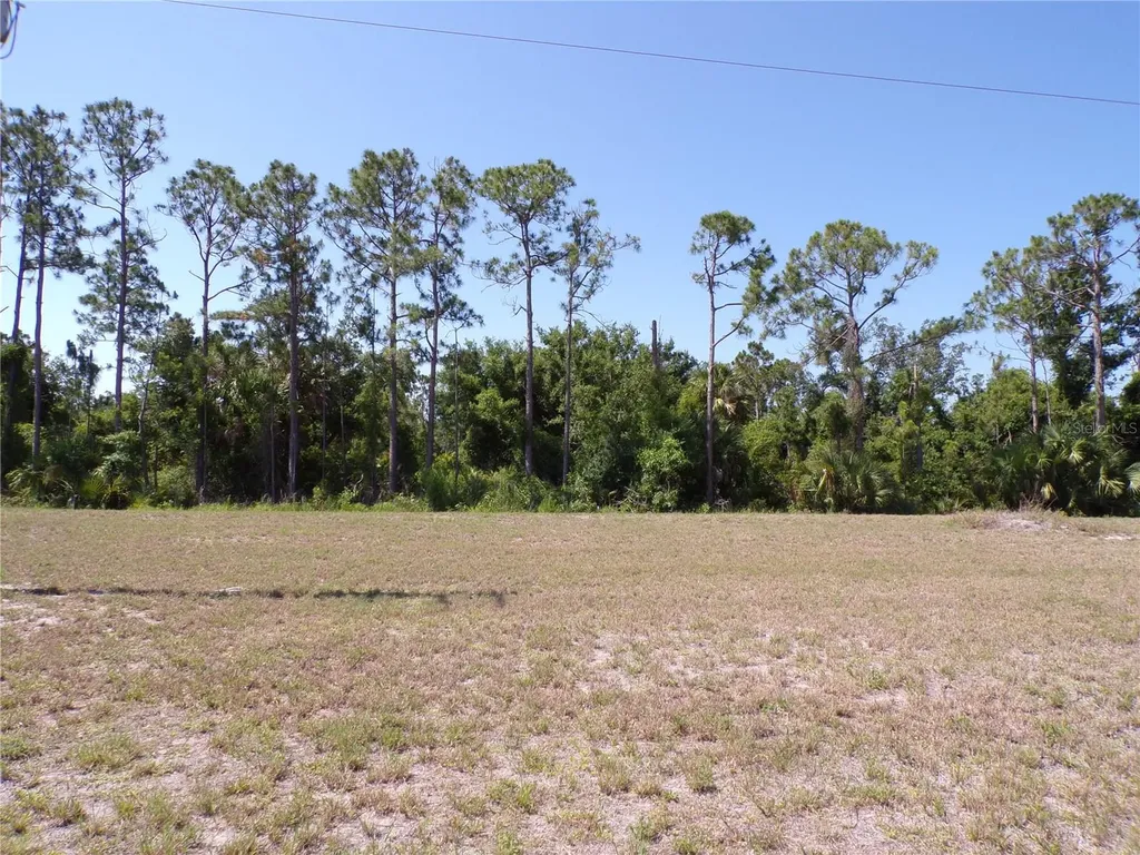 25051 Doredo Drive Punta Gorda FL 33955