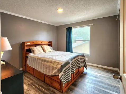 1249 Salt Clay Court Wesley Chapel FL 33544
