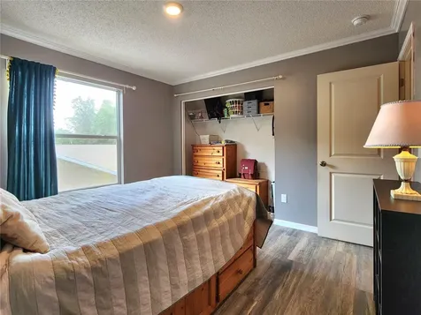1249 Salt Clay Court Wesley Chapel FL 33544