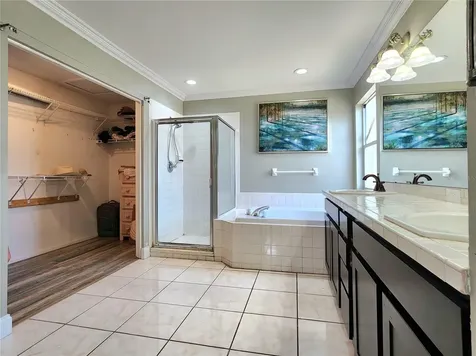 1249 Salt Clay Court Wesley Chapel FL 33544