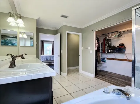 1249 Salt Clay Court Wesley Chapel FL 33544