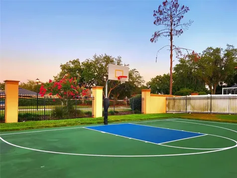 1249 Salt Clay Court Wesley Chapel FL 33544