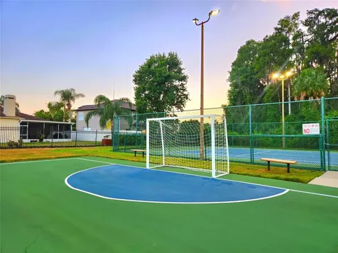 1249 Salt Clay Court Wesley Chapel FL 33544