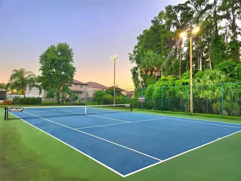 1249 Salt Clay Court Wesley Chapel FL 33544