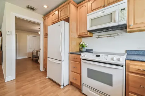 3205 Duchess Court Plant City FL 33565