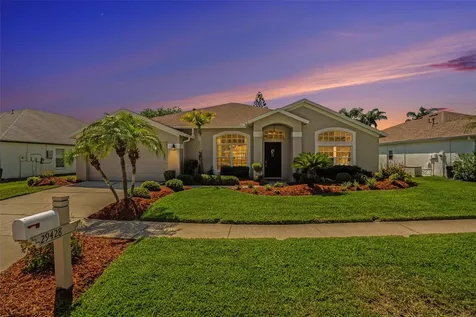 29428 Allegro Drive Wesley Chapel FL 33543