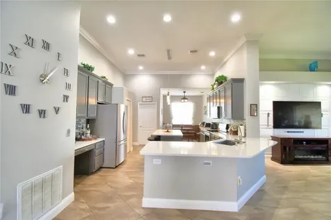 3219 Donington Castle Lane Land O Lakes FL 34638