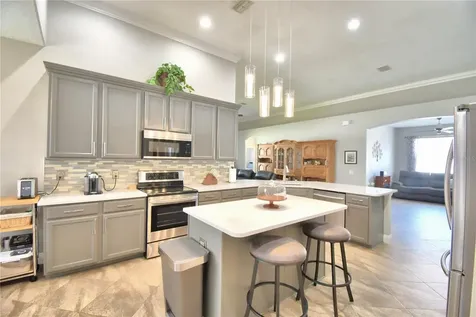 3219 Donington Castle Lane Land O Lakes FL 34638