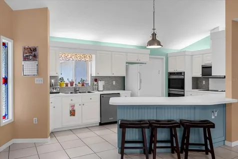 33917 Tara Wood Drive Leesburg FL 34788