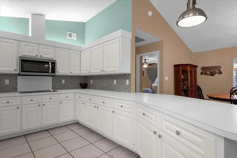 33917 Tara Wood Drive Leesburg FL 34788
