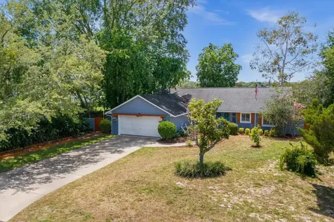 33917 Tara Wood Drive Leesburg FL 34788