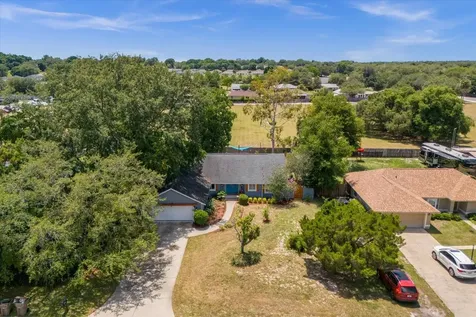 33917 Tara Wood Drive Leesburg FL 34788