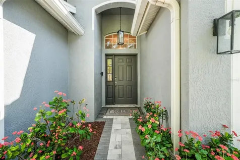 9976 Stockbridge Drive Tampa FL 33626