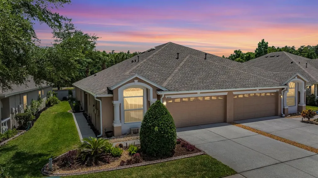 30906 Prout Court Wesley Chapel FL 33543