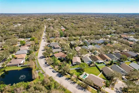 10216 Merrimac Manor Drive Riverview FL 33578