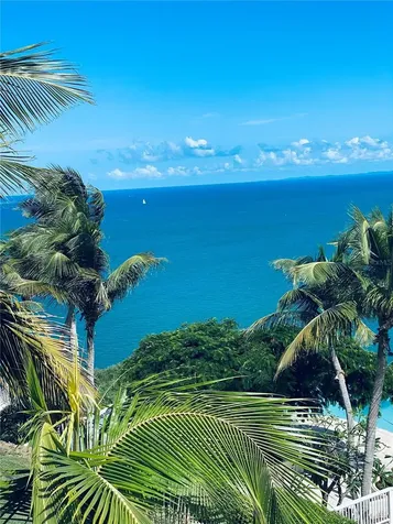 Las Casitas Village 1 1 Avenue Conquistador Fajardo PR 00738