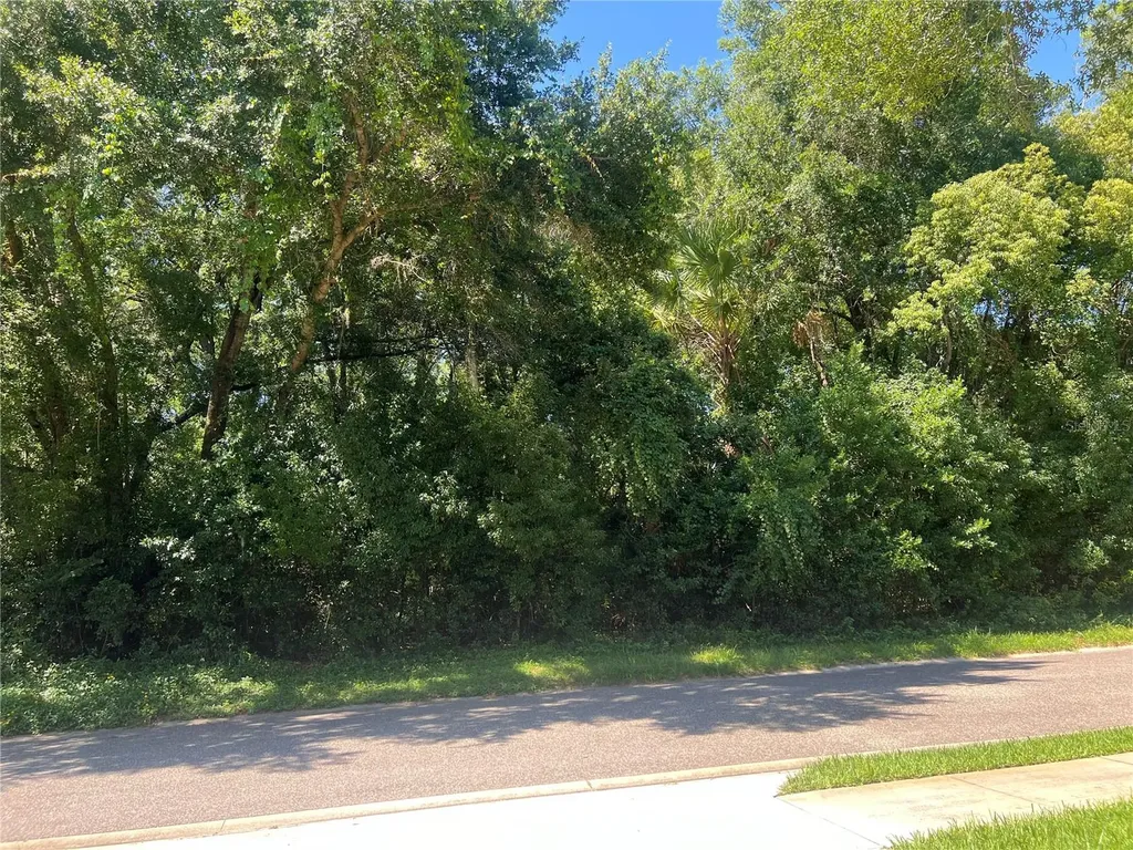 426 W Michigan Avenue Lake Helen FL 32744