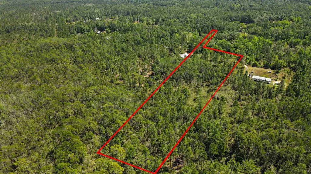 NE 108th Avenue Waldo FL 32694