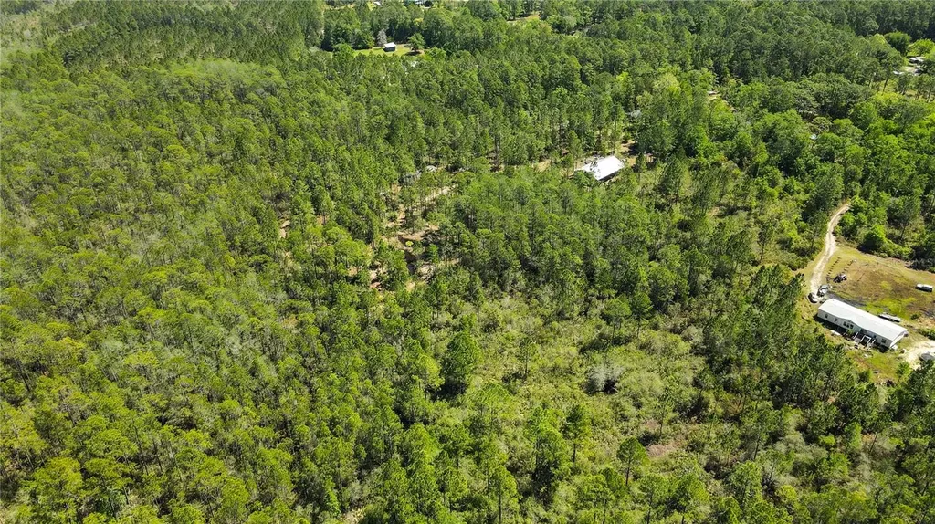 NE 108th Avenue Waldo FL 32694
