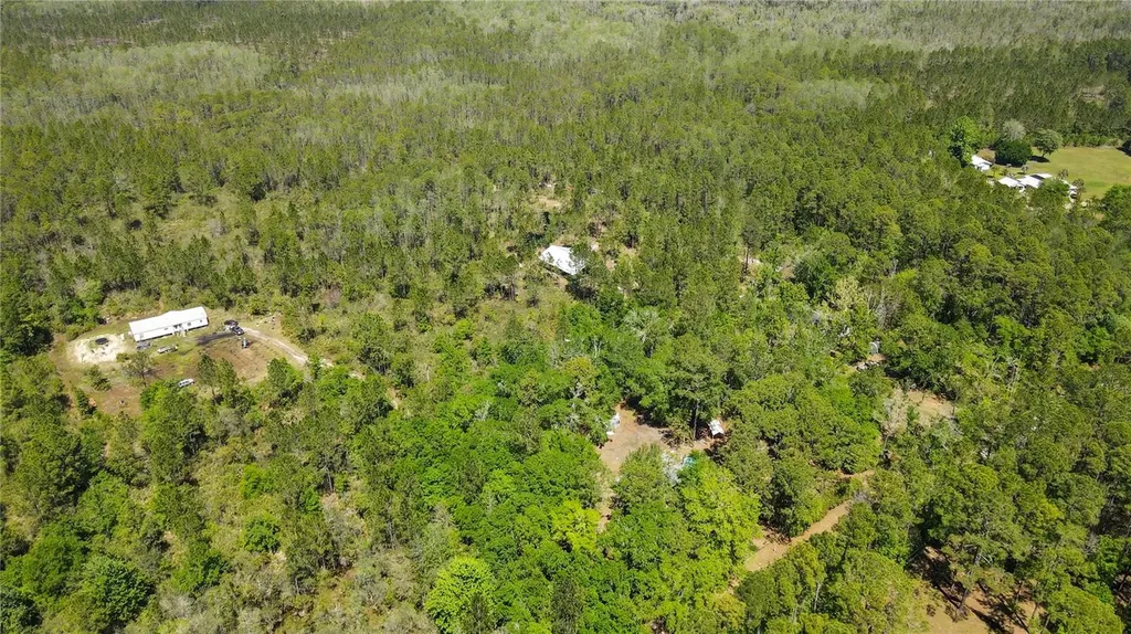 NE 108th Avenue Waldo FL 32694