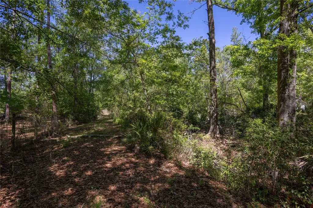 NE 108th Avenue Waldo FL 32694