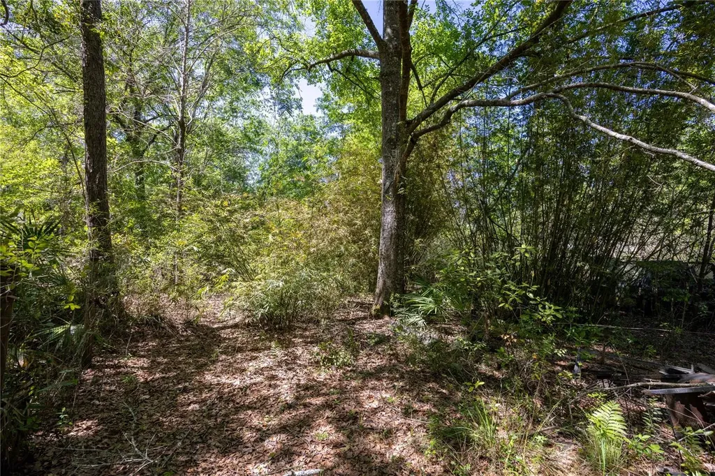 NE 108th Avenue Waldo FL 32694