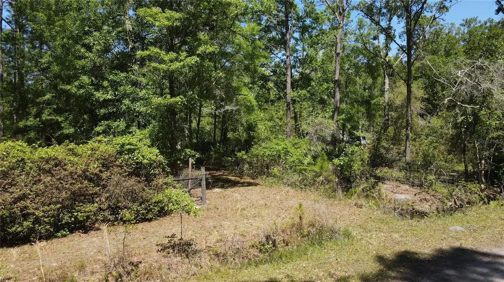 NE 108th Avenue Waldo FL 32694