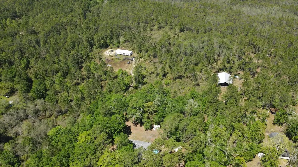 NE 108th Avenue Waldo FL 32694