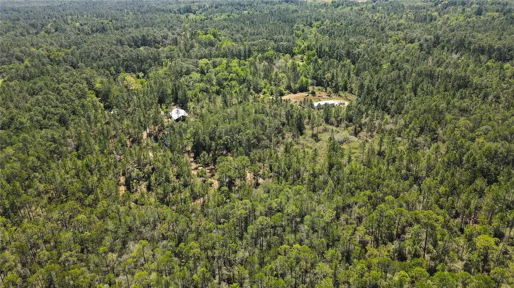 NE 108th Avenue Waldo FL 32694