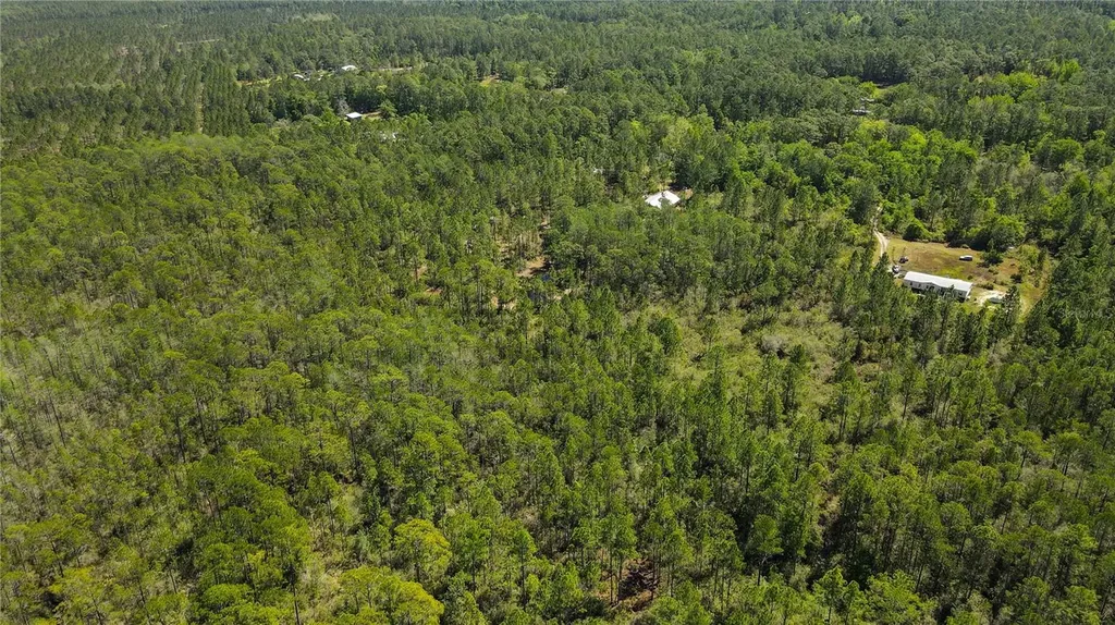 NE 108th Avenue Waldo FL 32694